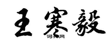 胡問遂王寒毅行書個性簽名怎么寫