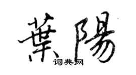 王正良葉陽行書個性簽名怎么寫