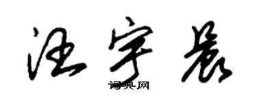 朱錫榮汪宇晨草書個性簽名怎么寫