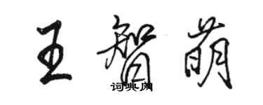 駱恆光王智萌行書個性簽名怎么寫