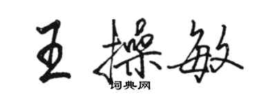 駱恆光王操敏行書個性簽名怎么寫