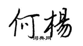 王正良何楊行書個性簽名怎么寫