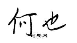 王正良何也行書個性簽名怎么寫