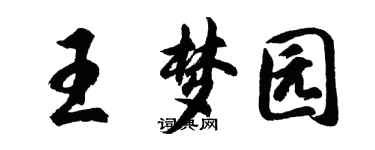 胡問遂王夢園行書個性簽名怎么寫