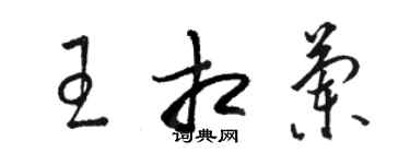 駱恆光王相蘭草書個性簽名怎么寫