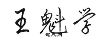 駱恆光王魁學行書個性簽名怎么寫