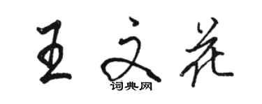 駱恆光王文花行書個性簽名怎么寫