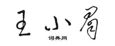 駱恆光王小眉草書個性簽名怎么寫