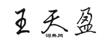 駱恆光王天盈行書個性簽名怎么寫