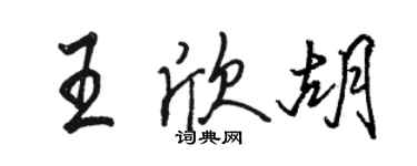 駱恆光王欣胡行書個性簽名怎么寫