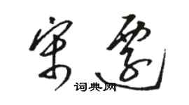 駱恆光宋遷草書個性簽名怎么寫