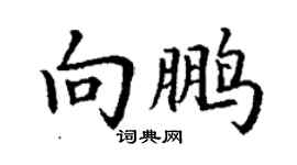 丁謙向鵬楷書個性簽名怎么寫