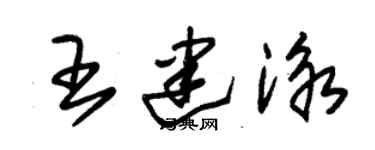 朱錫榮王建泳草書個性簽名怎么寫