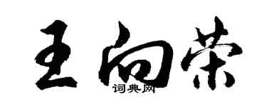 胡問遂王向榮行書個性簽名怎么寫