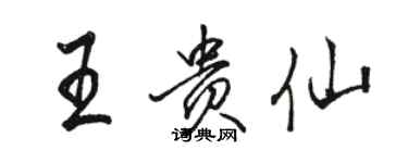 駱恆光王貴仙行書個性簽名怎么寫