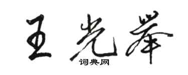 駱恆光王光舉行書個性簽名怎么寫