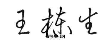 駱恆光王棟生草書個性簽名怎么寫