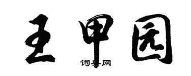 胡問遂王甲園行書個性簽名怎么寫
