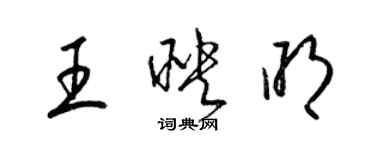 梁錦英王映明草書個性簽名怎么寫