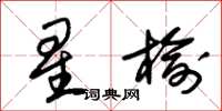 朱錫榮星榆草書怎么寫