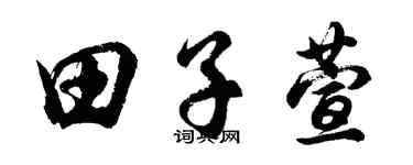 胡問遂田子萱行書個性簽名怎么寫