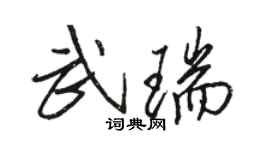 駱恆光武瑞行書個性簽名怎么寫