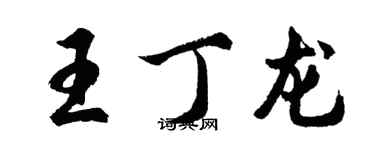 胡問遂王丁龍行書個性簽名怎么寫