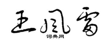 曾慶福王風雷草書個性簽名怎么寫