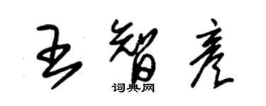 朱錫榮王智彥草書個性簽名怎么寫