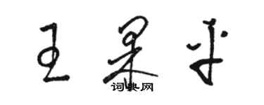 駱恆光王果平草書個性簽名怎么寫