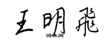 王正良王明飛行書個性簽名怎么寫