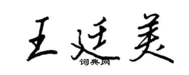 王正良王廷美行書個性簽名怎么寫