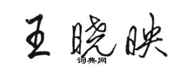 駱恆光王曉映行書個性簽名怎么寫