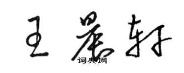 駱恆光王晨軒草書個性簽名怎么寫