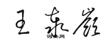 駱恆光王泰嶺草書個性簽名怎么寫