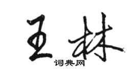 駱恆光王林行書個性簽名怎么寫