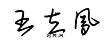 朱錫榮王立鳳草書個性簽名怎么寫