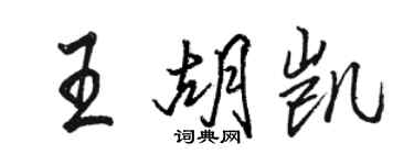 駱恆光王胡凱行書個性簽名怎么寫