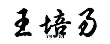 胡問遂王培易行書個性簽名怎么寫