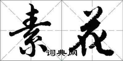 胡問遂素花行書怎么寫