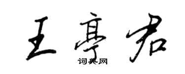 王正良王亭君行書個性簽名怎么寫