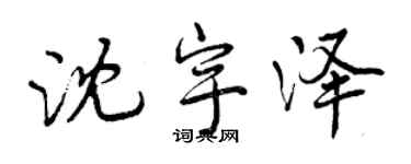 曾慶福沈宇澤行書個性簽名怎么寫