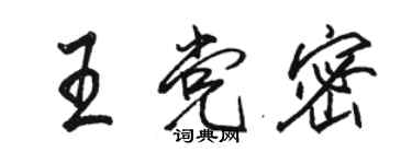 駱恆光王黨密行書個性簽名怎么寫