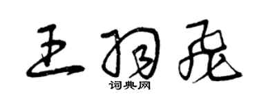 曾慶福王羽飛草書個性簽名怎么寫