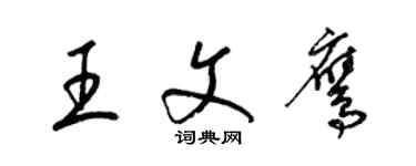 梁錦英王文鷹草書個性簽名怎么寫