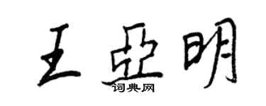 王正良王亞明行書個性簽名怎么寫