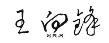 駱恆光王向鋒草書個性簽名怎么寫