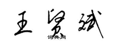 梁錦英王賢斌草書個性簽名怎么寫