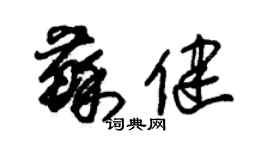 朱錫榮蘇健草書個性簽名怎么寫