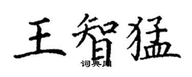 丁謙王智猛楷書個性簽名怎么寫